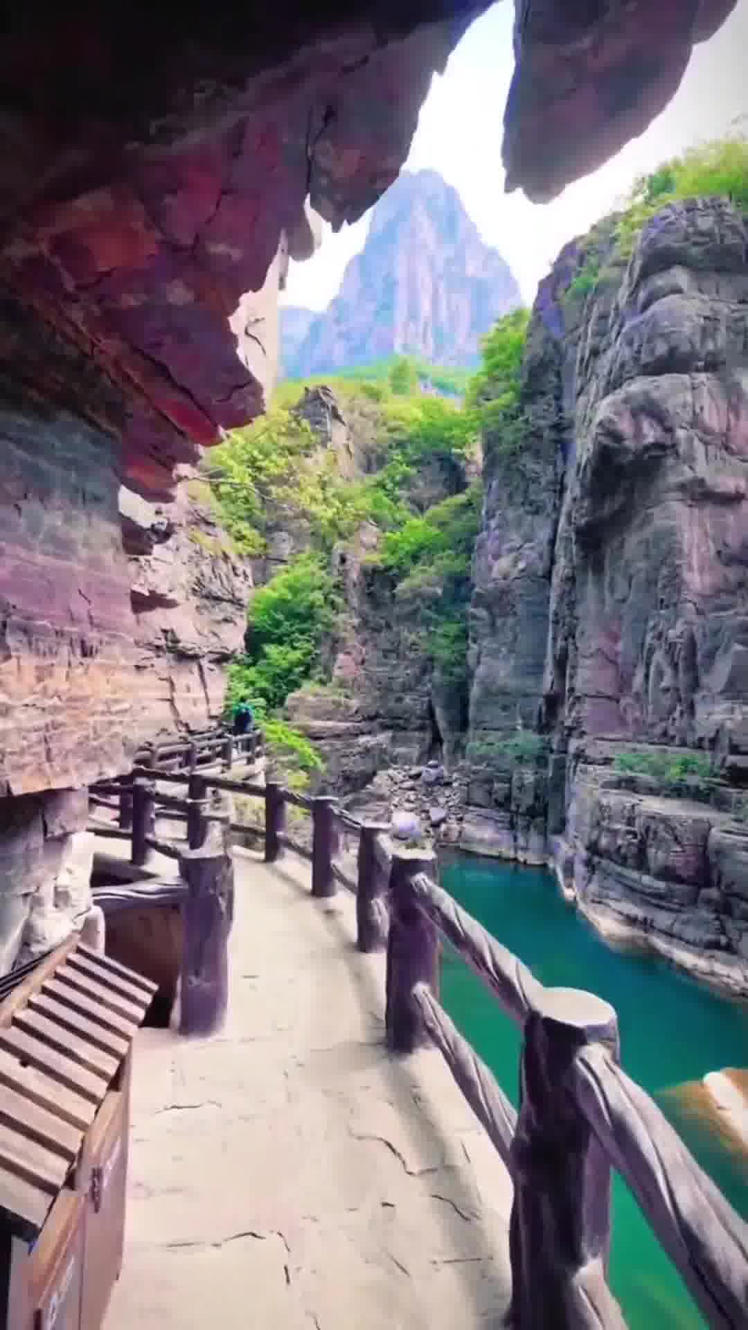 河南文化、历史与现代化的多元探析之旅