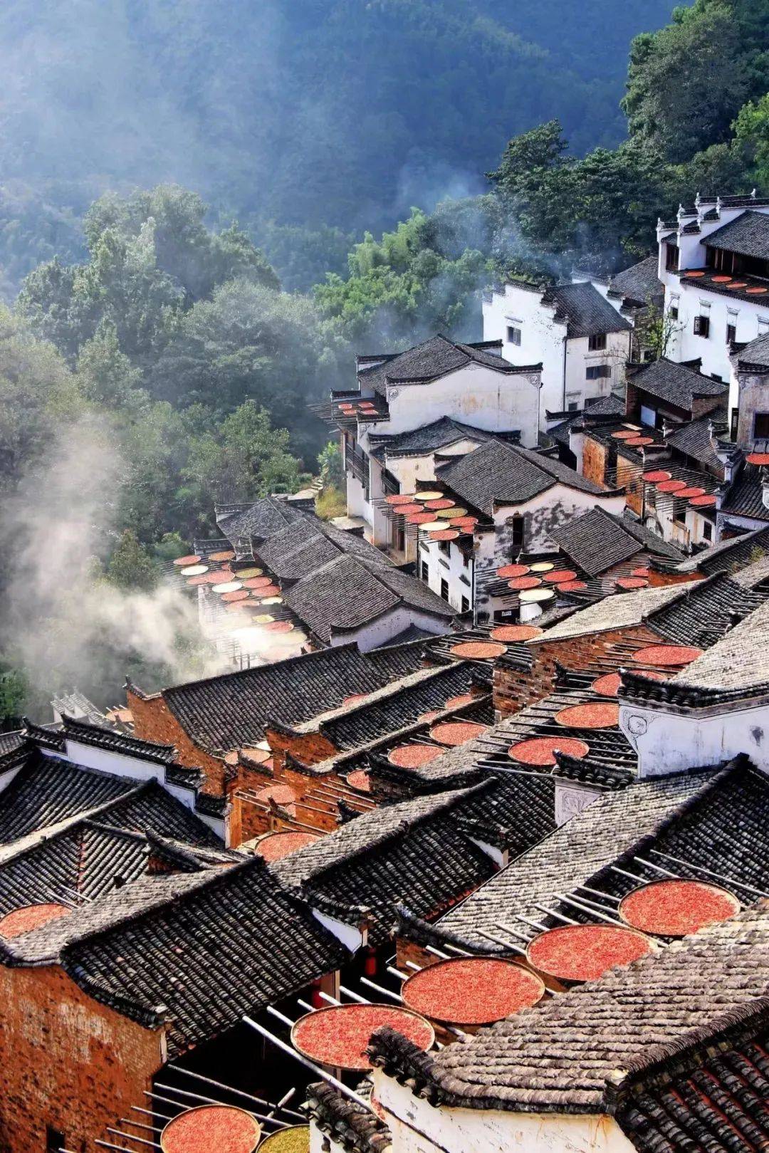 江西致敬,领导与同胞的深情呼唤