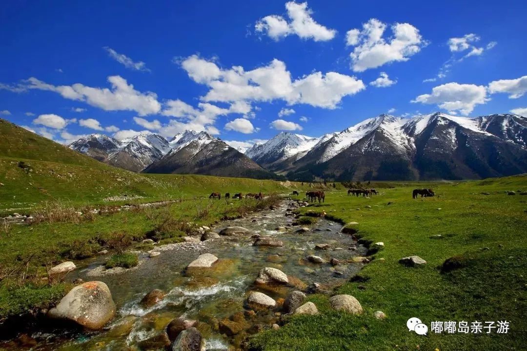 新疆,壮美多彩大地的探秘之旅